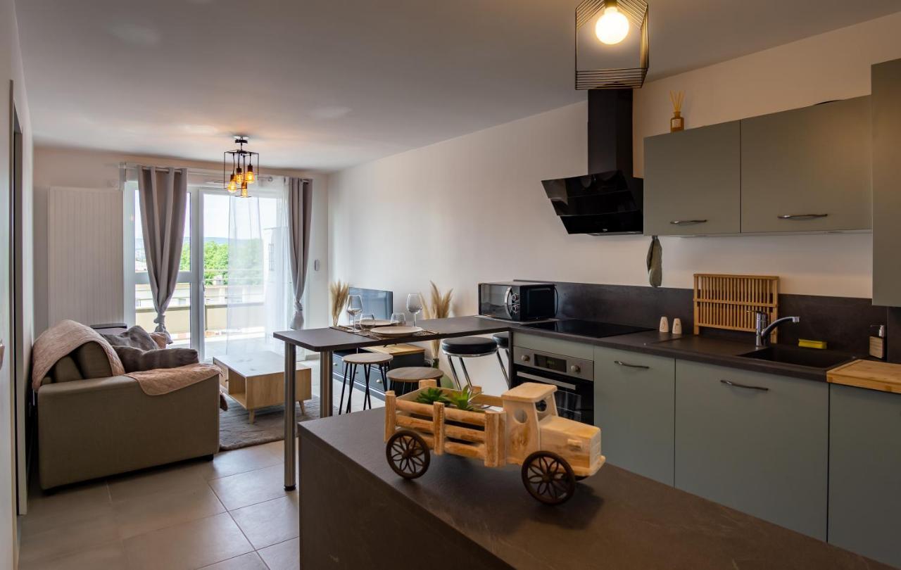 85 Geneve Confortable T2 Avec Parking Prive Annecy Buitenkant foto