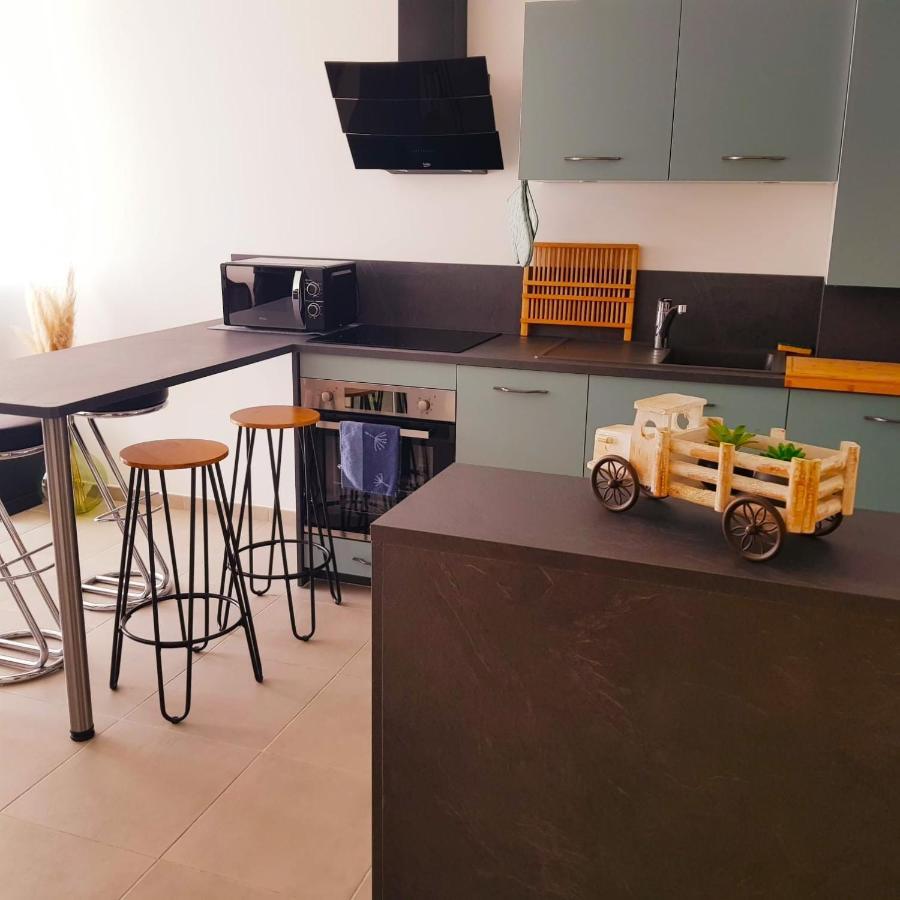 85 Geneve Confortable T2 Avec Parking Prive Annecy Buitenkant foto
